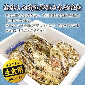 Amazon.co.jp: 北海道仙鳳趾産 生牡蠣 20個(130g±10g/個) 生食用
